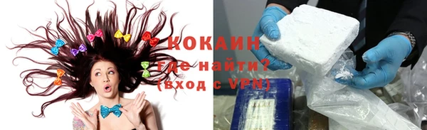 гашик Богданович