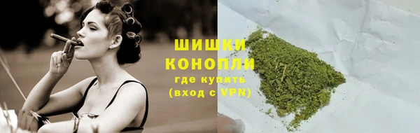 гашик Богданович